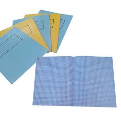 A special school notebook with grid lines
