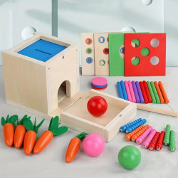 Educational wooden Montessori box (6 games in 1)