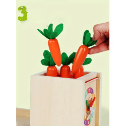 Educational wooden Montessori box (6 games in 1)