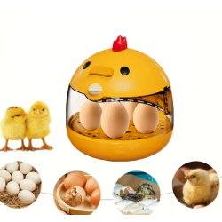 Smart, temperature-controlled egg incubator – discover the miracle of life