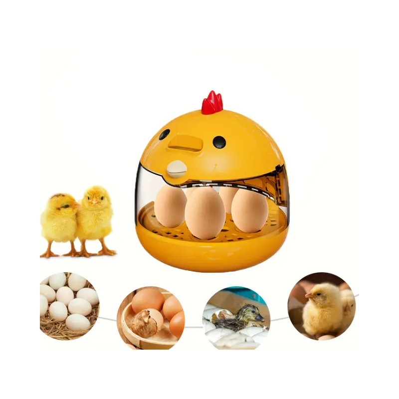 Smart, temperature-controlled egg incubator – discover the miracle of life Smart, temperature-controlled egg incubator – discover the miracle of life