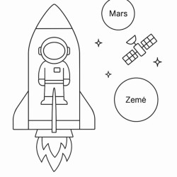 Test Prekė