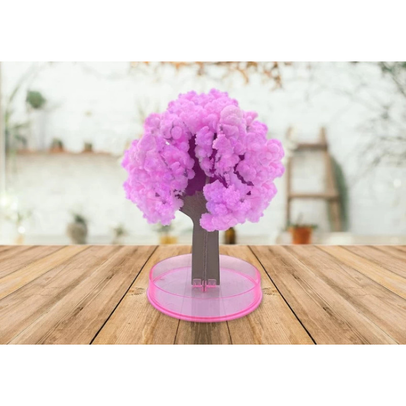 Maģiskā “Sakura” (Steam) Maģiskā “Sakura” (Steam)